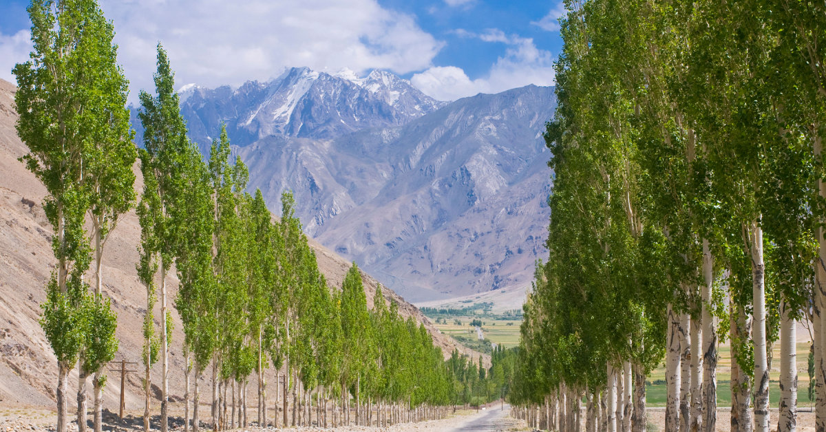 Afganistan