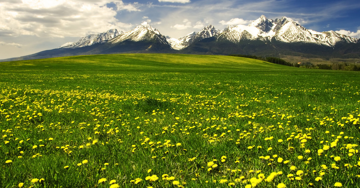 Slovakia